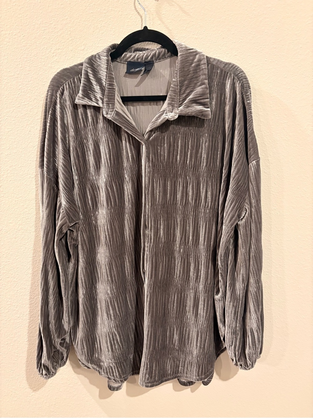 Daytrip Silver Velvet Pleated Button-Down Shirt